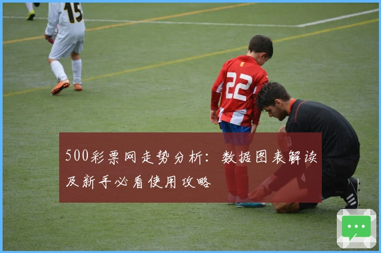 500彩票网走势分析：数据图表解读及新手必看使用攻略