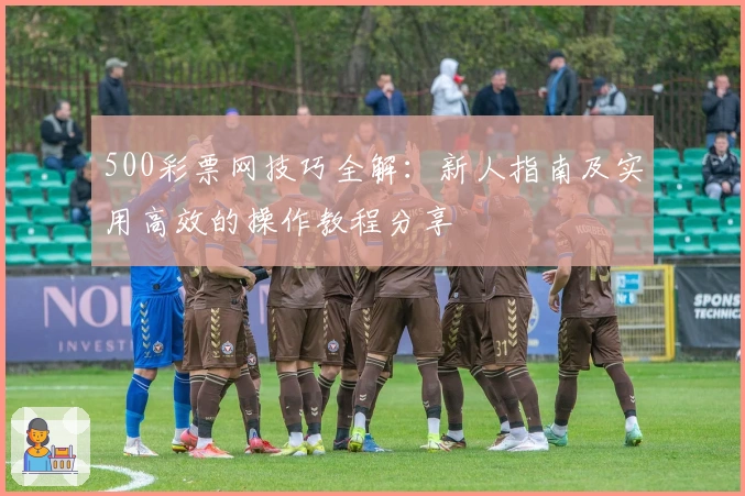 500彩票网技巧全解：新人指南及实用高效的操作教程分享