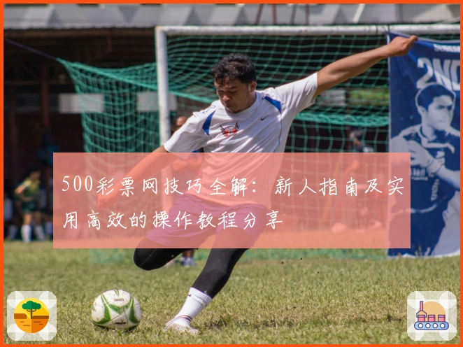 500彩票网技巧全解：新人指南及实用高效的操作教程分享